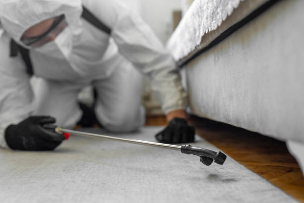 Professional Bed Bug Control technician working in Red Bay, AL