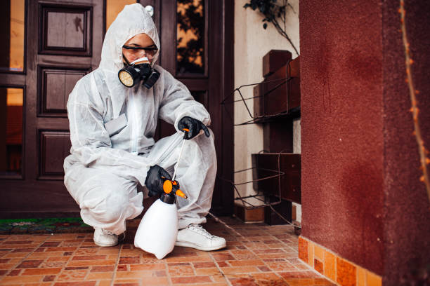 Reliable Bed Bug Control contractor in Red Bay, AL by Nex Pest Control